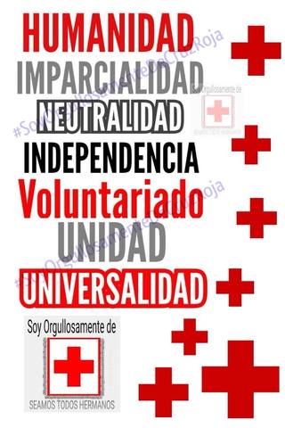 Se definen y aprueban los siete Principios Fundamentales