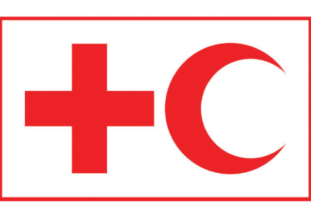 Surge la Federación Internacional de Sociedades de la Cruz Roja y de la Media Luna Roja