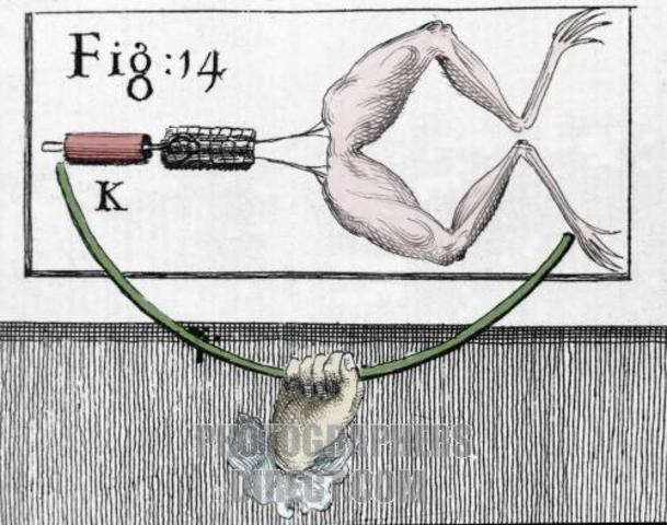 Experimento en animales de Luigi Galvani