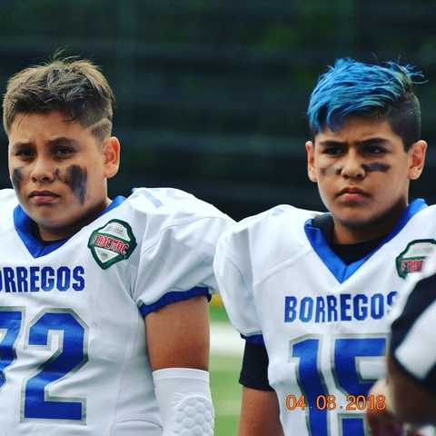 Entre a jugar Americano en Borregos