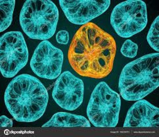 earliest life begins