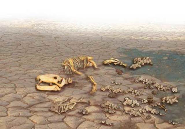 Factores de Extinciones