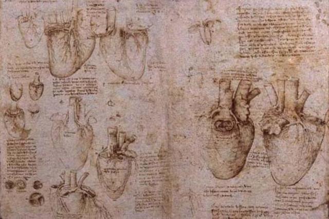 "Il libro dell'Anatomia"Primeros atlas de anatomía
