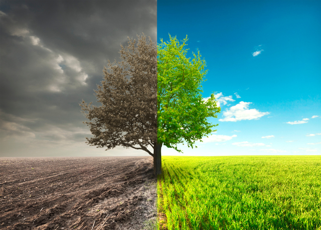 Tasa de cambio global