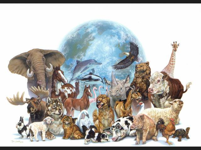 Especies en la actualidad