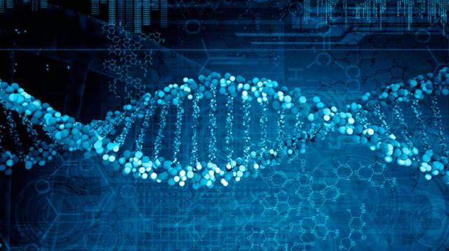 Se descubre el genoma humano