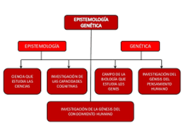 EPISTEMOLOGÍA GENÉTICA