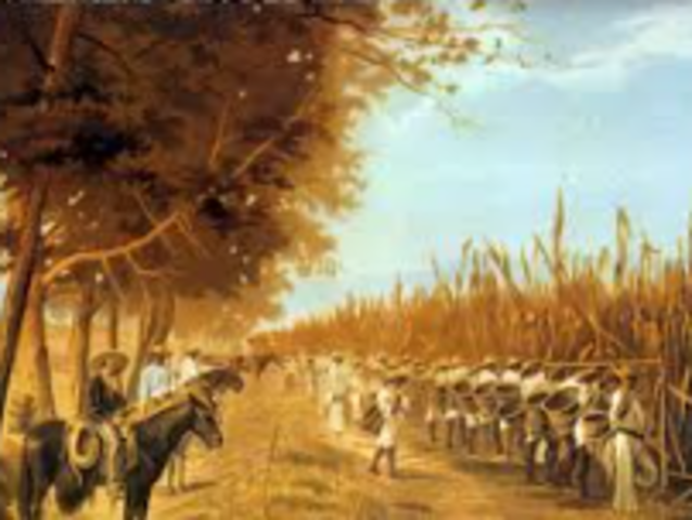 DECRETO SOBRE COLONIZACIÓN Y COMPAÑÍAS DESLINDADORAS