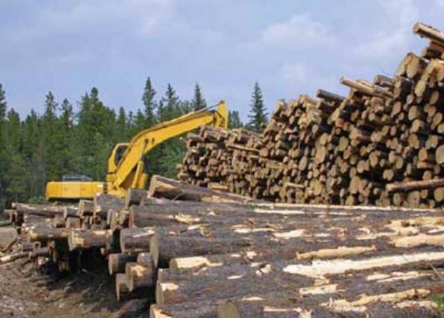 National Conservation Commission