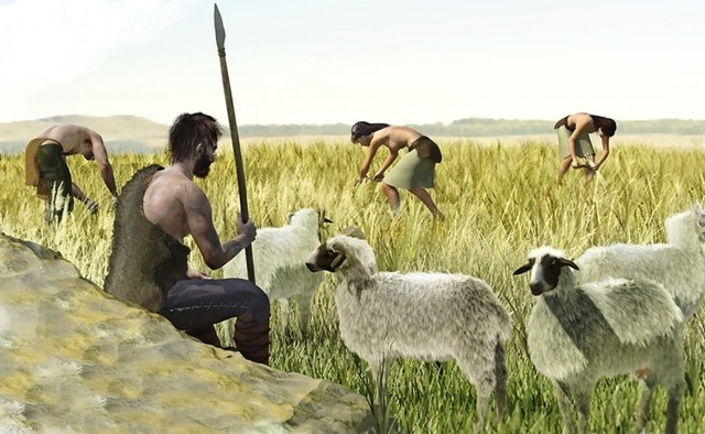 The Neolithic Revolution