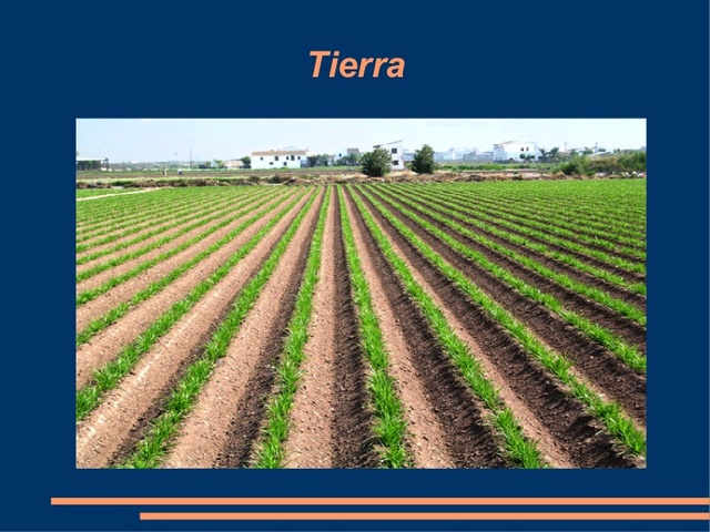 Quesnay (Fisiocrata)