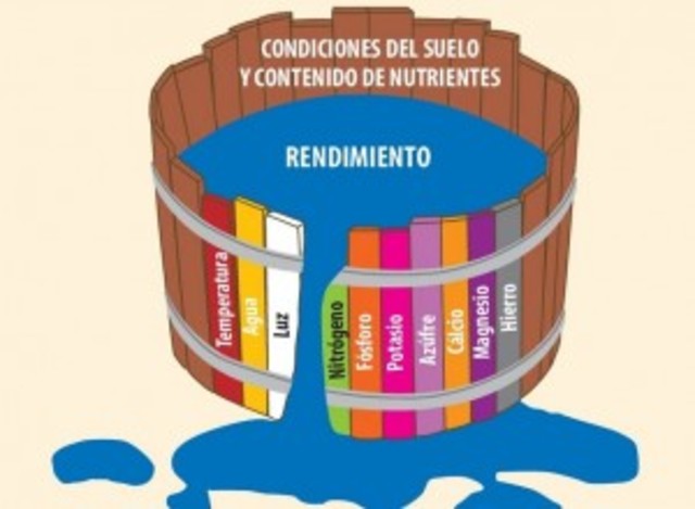 Justus von Liebig enuncia su ley de Minimo (Alemania)