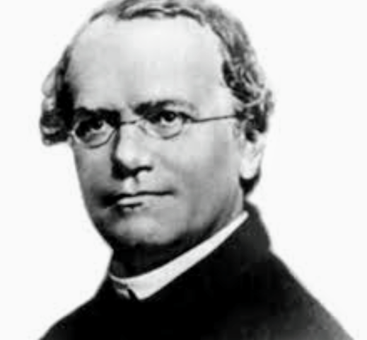 Gregor Mendel