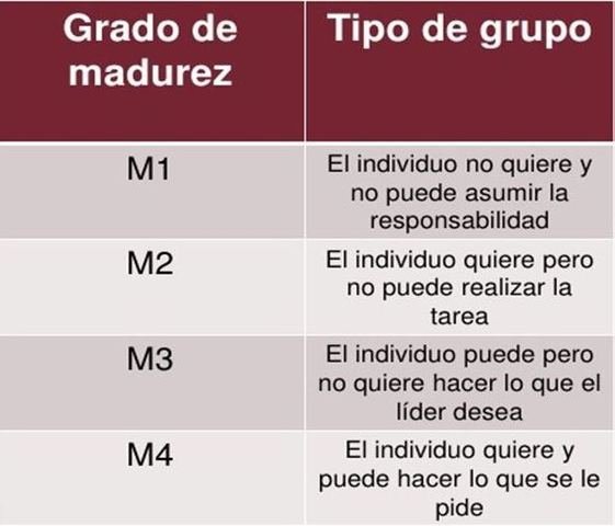Cuatro niveles de la madurez del seguidor