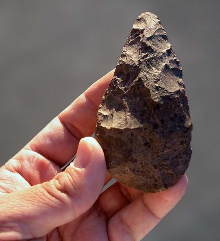 Starejša kamena doba - paleolitik