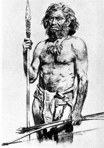 Aparición de los primeros hechos de educación.