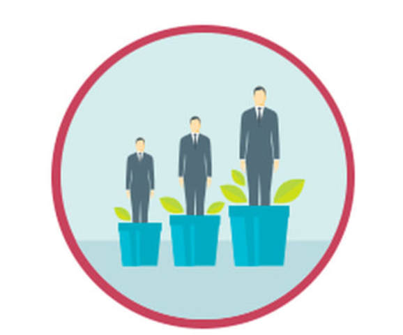 Desarrollo Organizacional