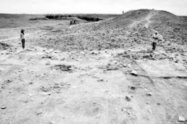 Realizó excavaciones en la península de Paracas