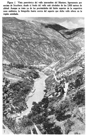 Realizo nuevas prospecciones en distintos valles