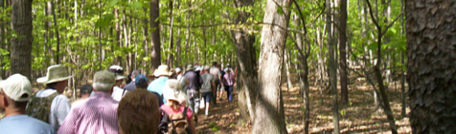Battle of Spotsylvania court house