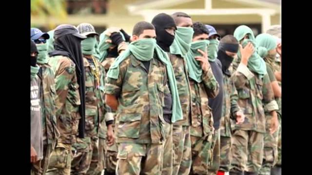 Surgimiento de grupos Palamilitares