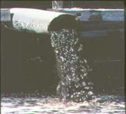 Cities Develop Sewer lines and sanitation departments