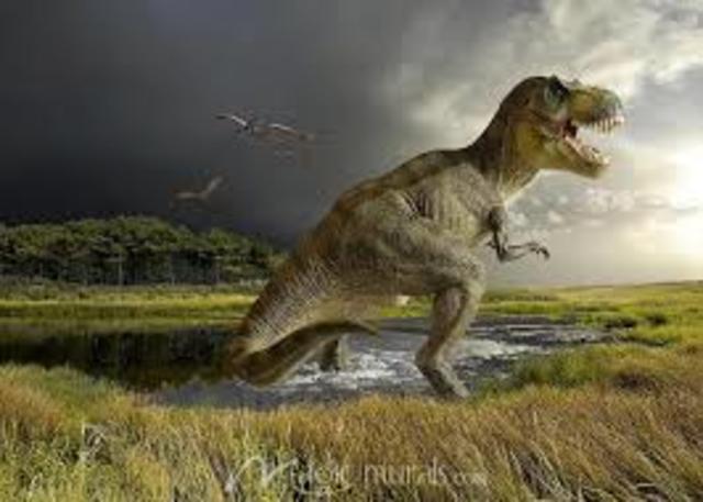 The dinosaur that use carbon