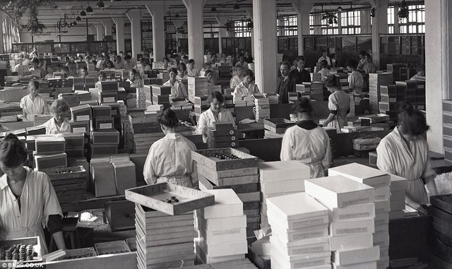 DESARROLLO DE HABILIDADES