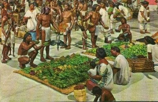 se van evolucionando