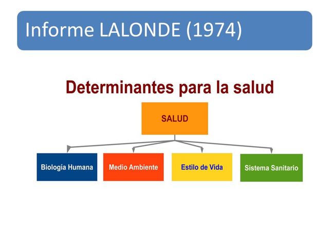INFORME DE LALONDE