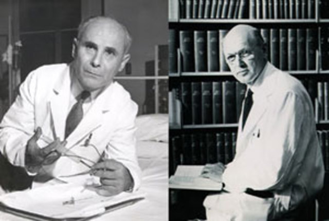 Mediciones en Humanos