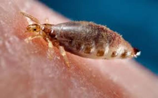 Jose Maria Rodriguez