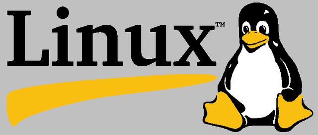 LINUX 2.4