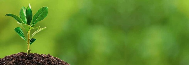 Conferencia de las Naciones Unidas sobre el Medio Humano