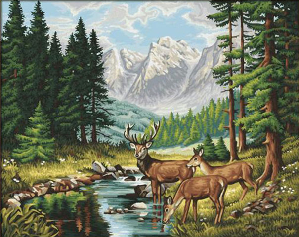 Dios Creó los animales