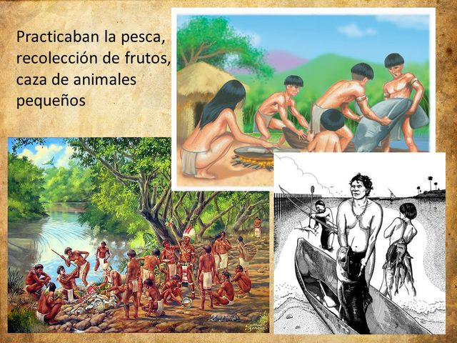 Perspectiva de la actividad Humana