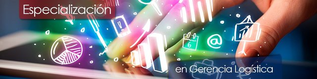ESPECIALIZACIÓN DE LA LOGÍSTICA