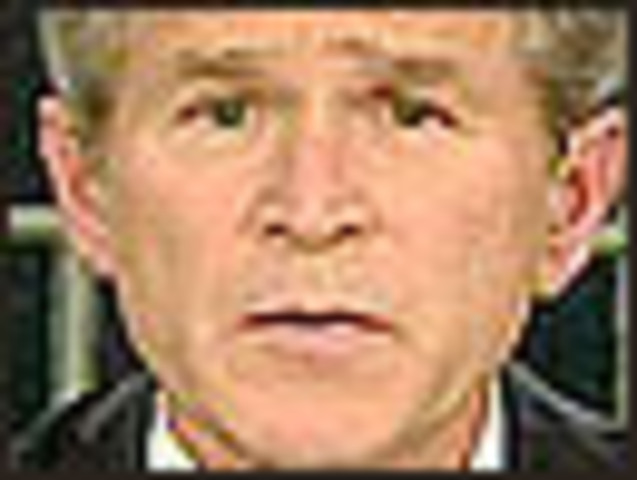 bush declares war in iraq