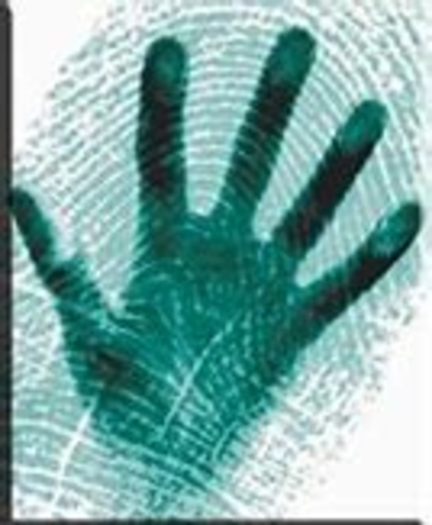 Los estadounidenses Wolfgang y Amir