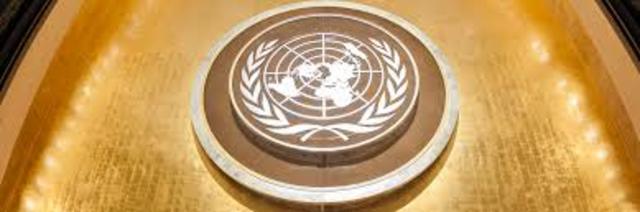 Asamblea General de las Naciones Unidas