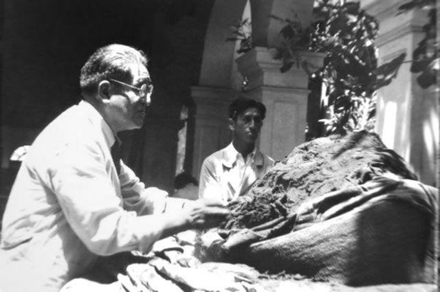 Nuevos descubrimientos