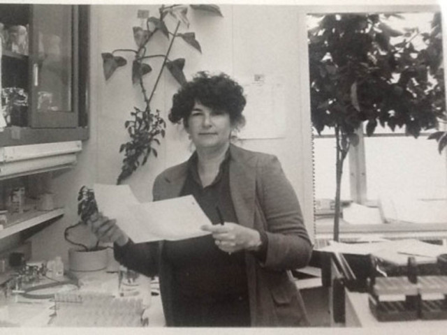 1973 descubrimiento de las endorfinas