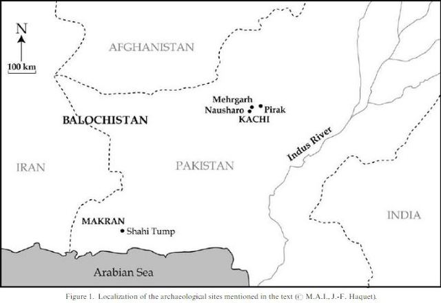 Cotton Domestication