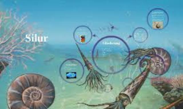 Silur(443mln-419mln aastat bc)