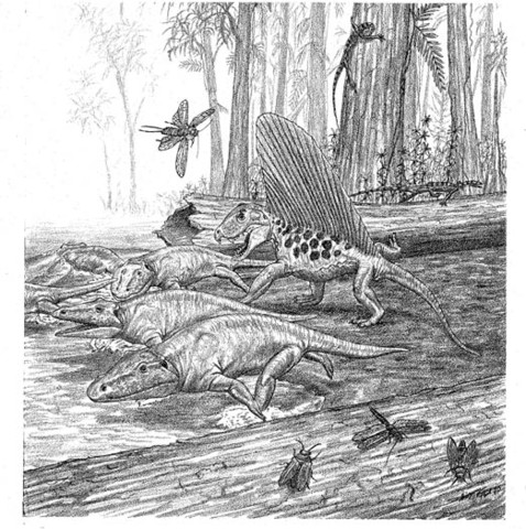 Perm(300mln-250mln aastat bc)