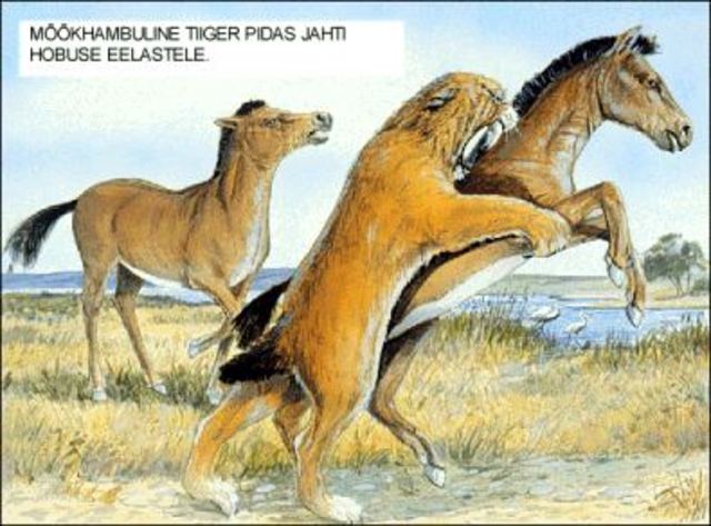 Paleogeen(66mln-23mln aastat bc)