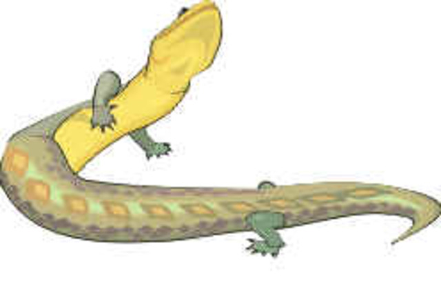 Karbon (359- 300 mln aastat tagasi)