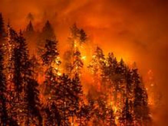 Sherman destroyed ATL with fire