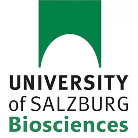 Universidad de Salzburgo