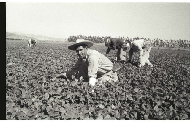 Bracero Program